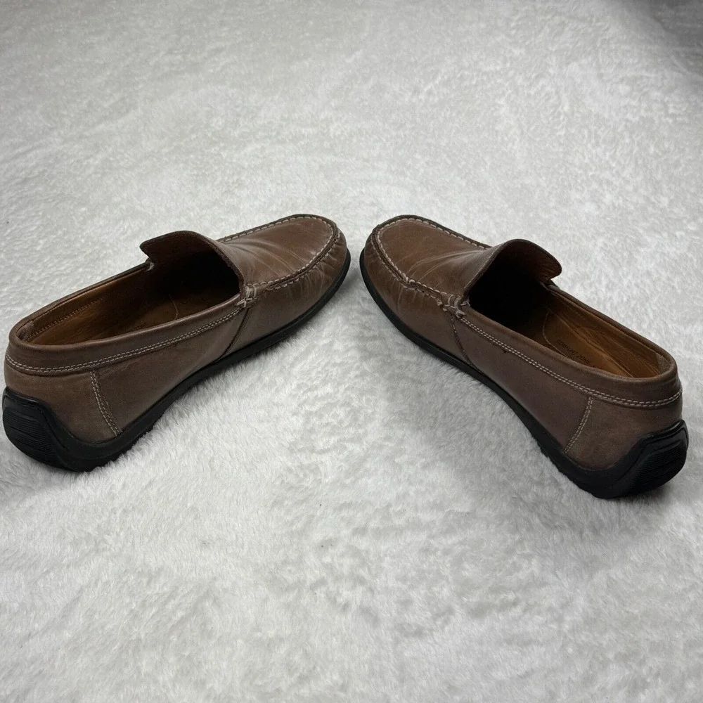 Ecco these brown
